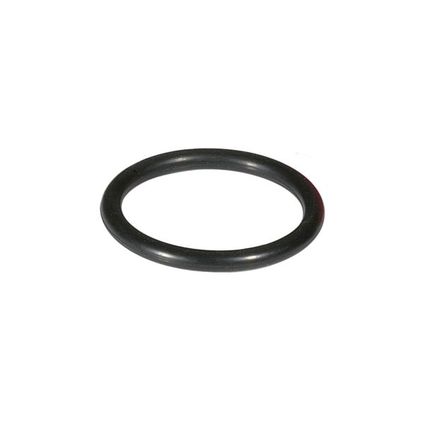 Honeywell O kružok nád.filt 1 1/2" + 2" pre D06